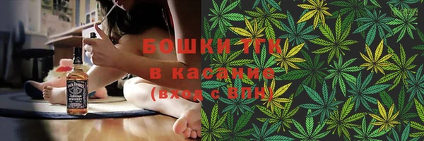 молекула духа Алексеевка